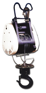 微型電動葫蘆展示圖